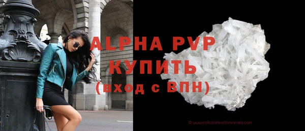 спиды Ладушкин