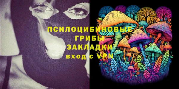 спиды Ладушкин