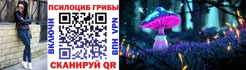 Галлюциногенные грибы Magic Shrooms  Купить  Западная Двина 